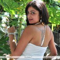 Haripriya New Photo Shoot - Pictures | Picture 115595